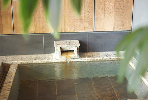 Nature Hot Spring with Mt. Fuji's Volcanic Stone Bath